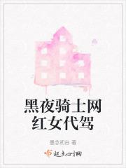 黑夜骑士