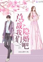 总裁我们闪婚吧全文免费阅读