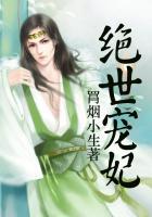 绝世宠妃 红小缎