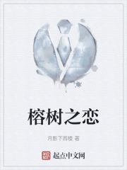 榕树dsd
