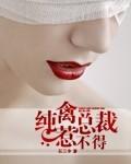纯禽总裁请温柔