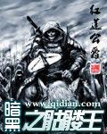 暗黑之骷髅王txt奇书网