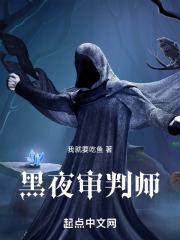 暗夜审判师杀手日记