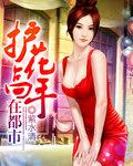 护花高手在都市电视剧在线观看