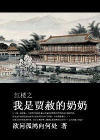 红楼之我是贾赦小姨