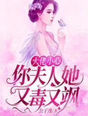 大佬你夫人又野了免费阅读