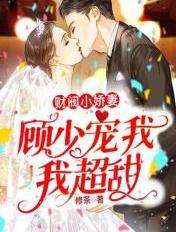 财阀小娇妻网页版