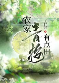 农家青梅有点田讲的什么