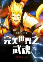 完美世界之武魂顶点