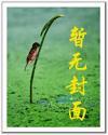 西北王1908