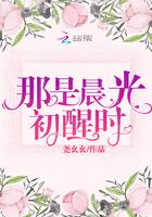 晨光初起的意思