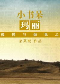 傲慢与偏见甜文 玛丽