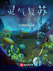 灵气复苏功法