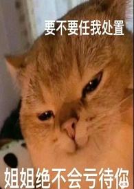 女向导男哨兵的