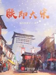 朕即大宋类似的