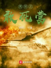 亮剑抗战