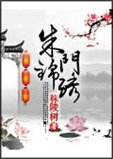朱门锦色讲的什么