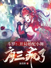 斗罗大陆之开局老婆是小舞