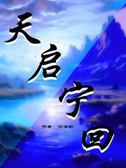 天启是坏的嘛
