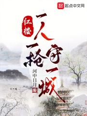 红楼一人一枪守一城飞卢
