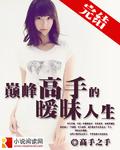 巅峰高手txt