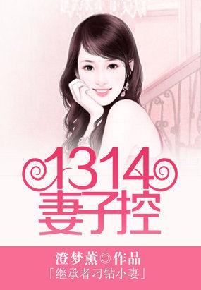 继承者的隐婚秘妻