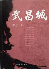 武昌城建江南岸地址在哪里