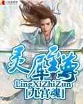灵犀小v