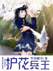 护花兵王在都市全文免费阅读