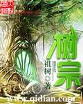 树宗无弹窗