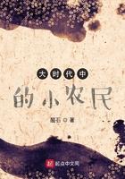 大时代中的小农民百科