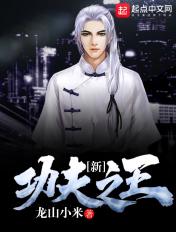 新功夫之王txt