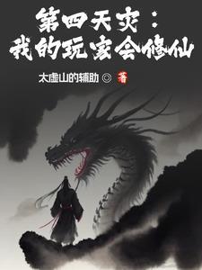 第四天灾玩家流