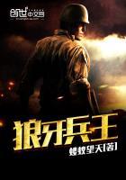 特种兵之血狼