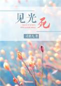 见光死by灵鹊儿讲的什么
