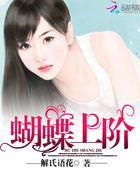 上面的蝴蝶