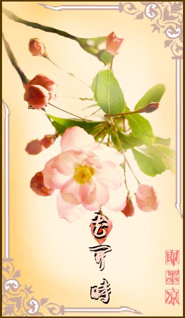 花开时节之小腕来也