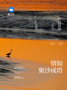 聚沙成塔最经典十句话