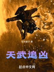 追凶500天完整版
