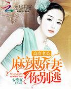 高冷老公太撩人免费阅读