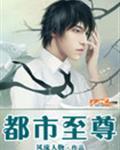 都市至尊狂婿