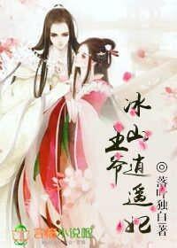 冰山王爷倾城妃免费阅读全文