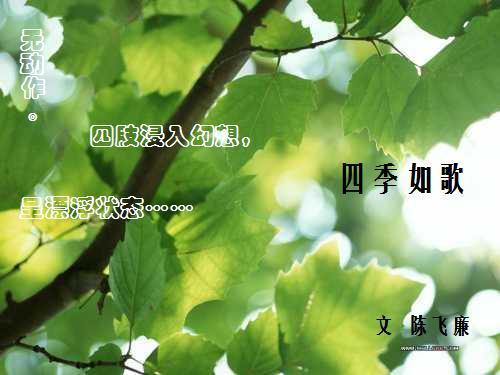 四季如歌提纲