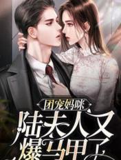 团宠妈味陆少