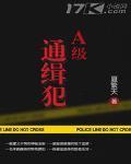 a级通缉犯多严重
