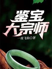 鉴宝大宗师免费有声