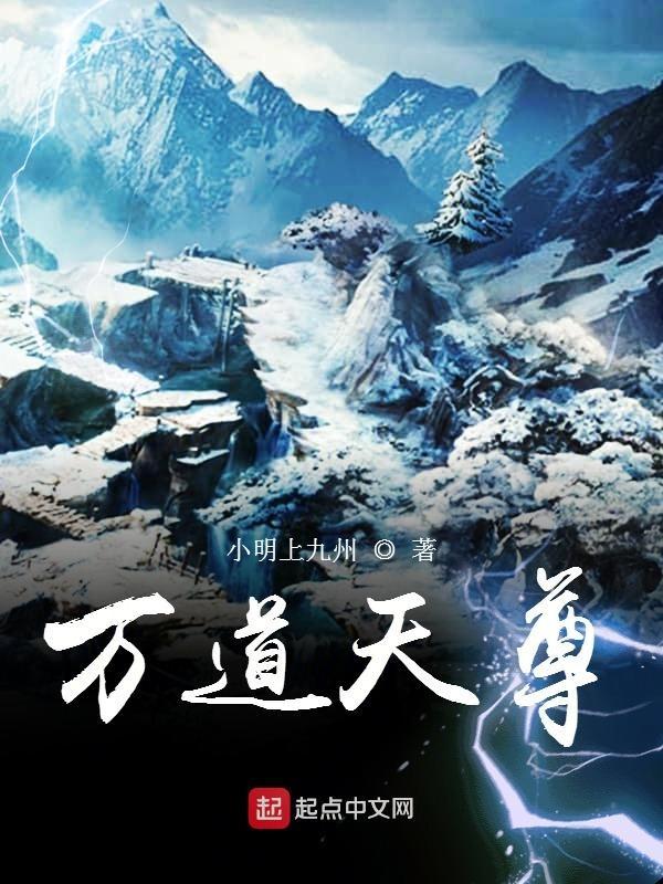 万道至尊简介