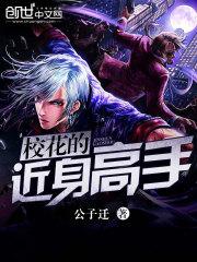 校花的贴身高手更新了多少年了