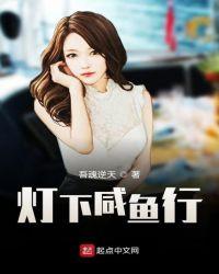 咸鱼之王蜀国灯4