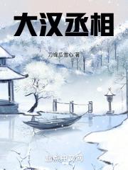 汉朝丞相职责